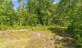 5840 Green Swamp Rd NW, Ash, NC 28420