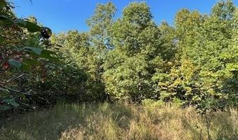 County Road 118, Annapolis, MO 63620