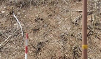 349 W Eagles Roost St, Brian Head, UT 84719