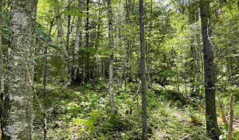 Mountain Road, Burke, VT 05832