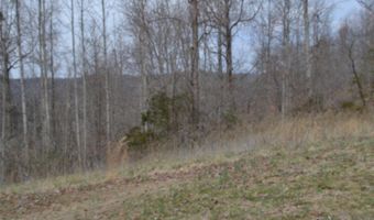 Fox Hill Road lot 4 & 5, Baxter, TN 38544