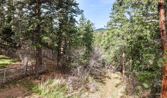 9020 Pine Ave, Beulah, CO 81023