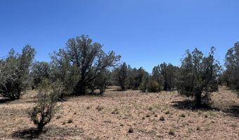 202 Cooks Trl, Ash Fork, AZ 86320