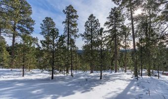 21376 Hedgehog Ln, Deadwood, SD 57732