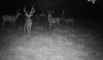 060 W State Hwy 31, McAlester, OK 74501
