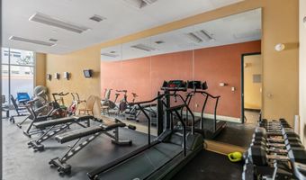 361 Robinson St 208, Basalt, CO 81621