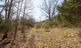 16032 Farm Road 1212, Aurora, MO 65605