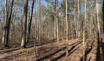 Cr 127, Abbeville, MS 38601