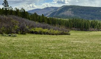 15098 CR 240, Bayfield, CO 81122