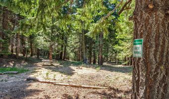 500 Mt Ashland Ski Rd, Ashland, OR 97520