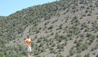 8210 Ml Crk Rd, Battle Mountain, NV 89820