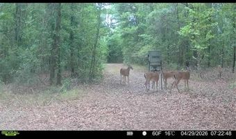 4814 NW 244 Ave, Alachua, FL 32615