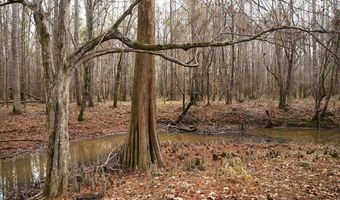 Maddox Road, Ackerman, MS 39735