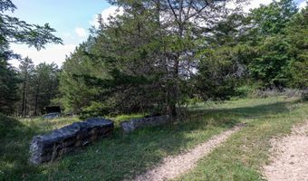 ALUM SPRINGS RD, Basye, VA 22810