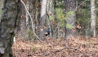 386 NE A, Antlers, OK 74523