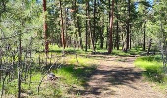 1825 Copper Cliff Dr, Bonner, MT 59823