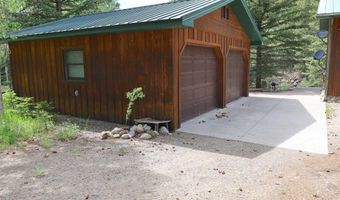 11109 County Road 742, Almont, CO 81210