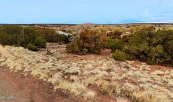 83 County Road 5083, Concho, AZ 85924