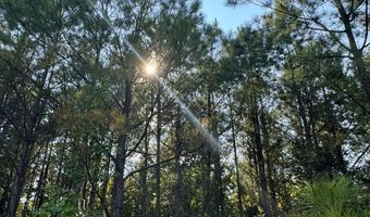 0 Military Rd, Beaverton, AL 35544