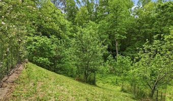 1801 Soap Creek Rd, Ball Ground, GA 30107