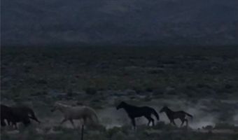 13300 Willard Creek Ranch Rd, Ely, NV 89311
