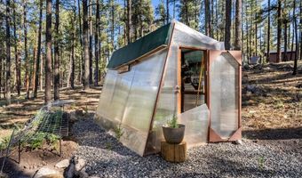 24 County Rd 2267, Alpine, AZ 85920