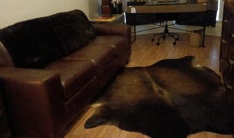 2920 PARKWOOD Ave 3, Baltimore, MD 21217
