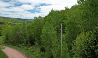 Woodland Hills Road, Andes, NY 13731