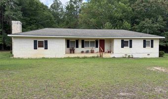 2950 Fountainville Rd, Andersonville, GA 31711