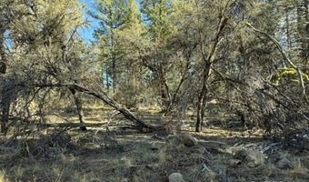 Bunting Drive, Bonanza, OR 97623