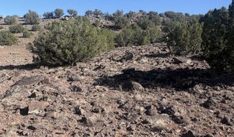 478 N8521, Concho, AZ 85924