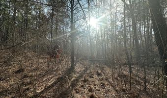 1106 LONGLEAF Way, Lincolnton, GA 30817