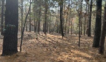 2423 Mill Creek Rd, Bethune, SC 29009