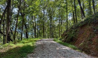 4 Black Rock Trl 4, Andrews, NC 28901