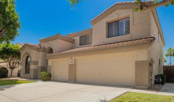 705 W DESERT BROOM Dr, Chandler, AZ 85248