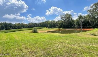 3945 Old Trezevant Rd, Atwood, TN 38220
