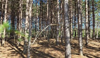 ON FARMING RD N lot 2, Arbor Vitae, WI 54568