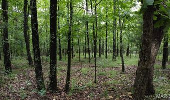 13 Hidden Vly Lks, Annapolis, MO 63620