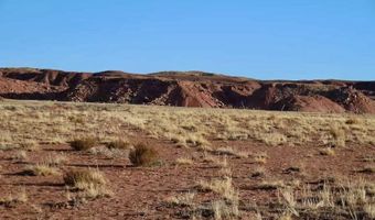 15 Co Rd N7284 40 Acres, Chambers, AZ 86502