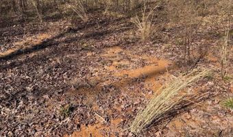 Lot 1 Mount Olive, Bauxite, AR 72011