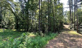 George Green Rd, Tallapoosa, GA 30176