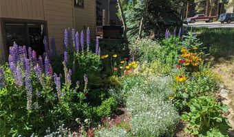 114 PARK FOREST Dr, Breckenridge, CO 80424