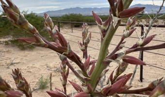 970 Valley Vista Dr, Anthony, NM 88021