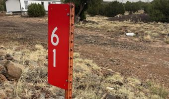 61 County Road 8027, Concho, AZ 85924