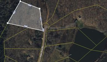 L22.2 Alder Pond Road, Andes, NY 13740