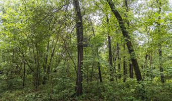 1569 Spider K Rd, Anderson, MO 64831