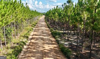 Penny Morris Road, Baxley, GA 31513