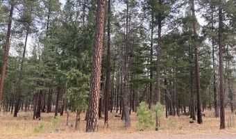 000 COUNTY ROAD 2196 LOT 74 AFE, Alpine, AZ 85920