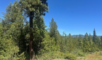Saddle Rock Drive lot 19, Cascade, ID 83611