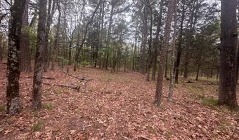 UNIT # 263B KIAMICHI WILDERNESS RD Unit # 63 63, Antlers, OK 74523